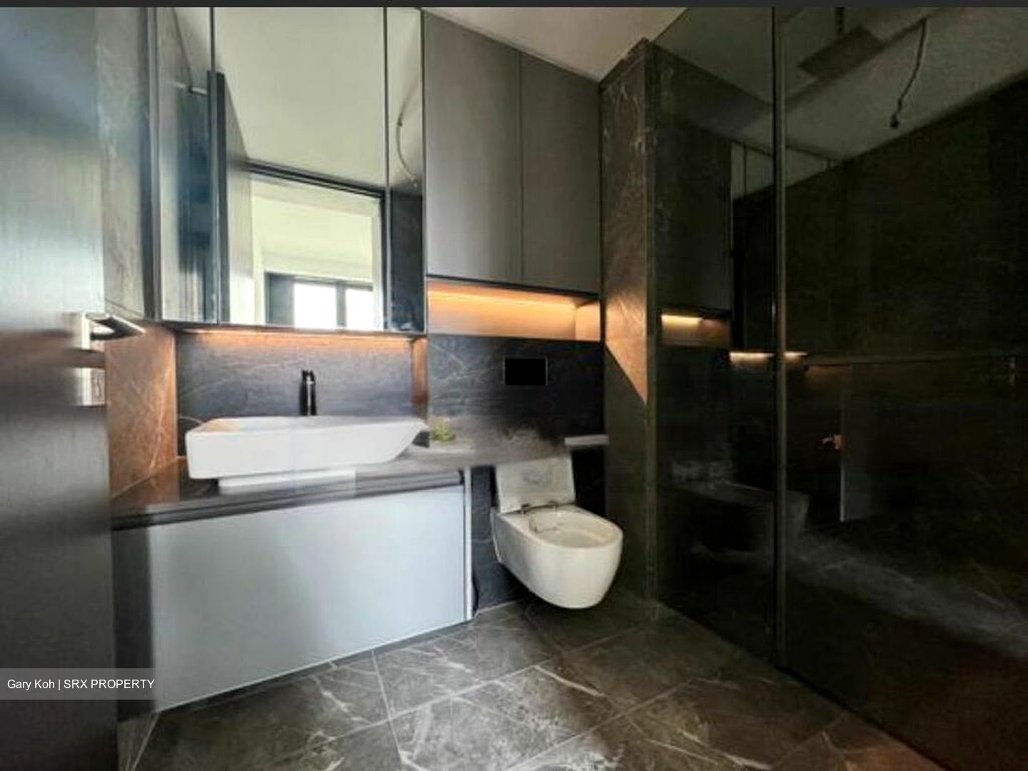 Irwell Hill Residences (D9), Apartment #460985541